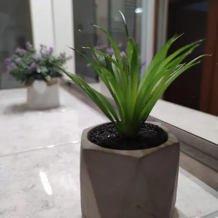 Appartement Sve U 5 Minuta *